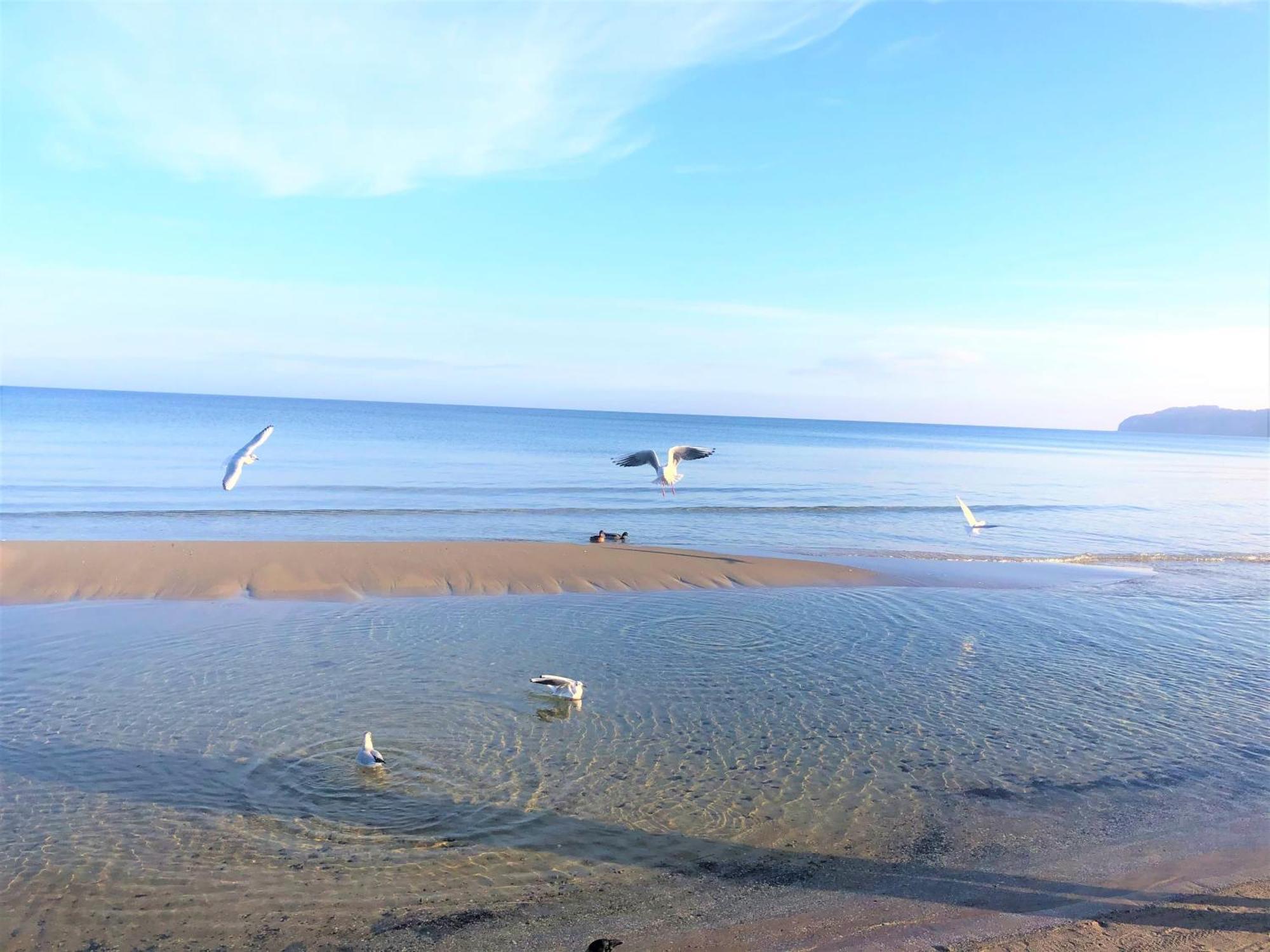 Sommerwind - Villa Helene Mit Meerblick In Top Lage Binz Exteriör bild